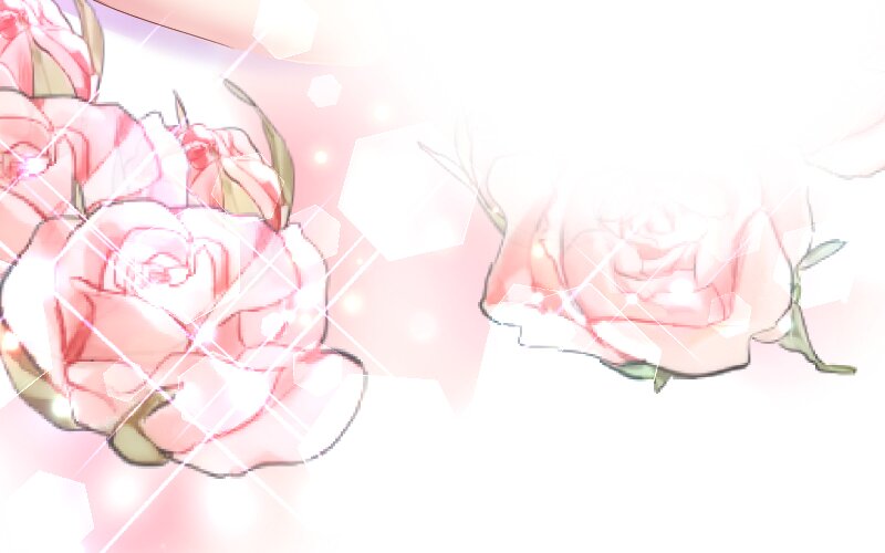 64258666 800 500 44636